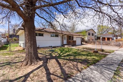 628 Bryce Drive, House other with 5 bedrooms, 1 bathrooms and 1 parking in Colorado Springs CO | Image 2