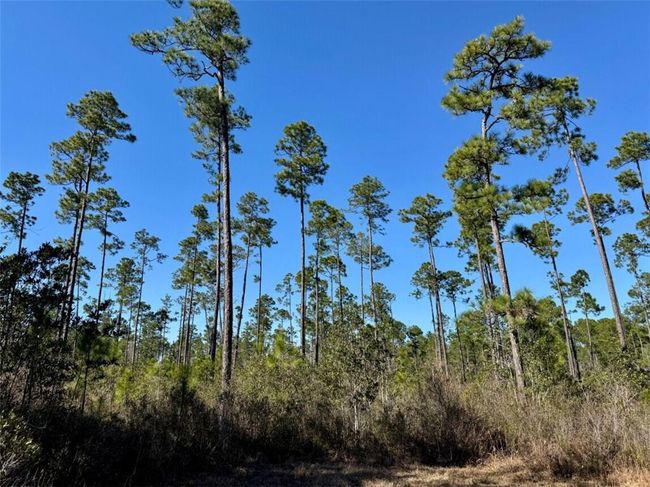 0 Robert White Rd, Home with 0 bedrooms, 0 bathrooms and null parking in Bay Minette AL | Image 18