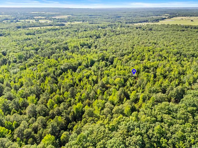 256 Rambo Loop, Home with 0 bedrooms, 0 bathrooms and null parking in Searcy AR | Image 7