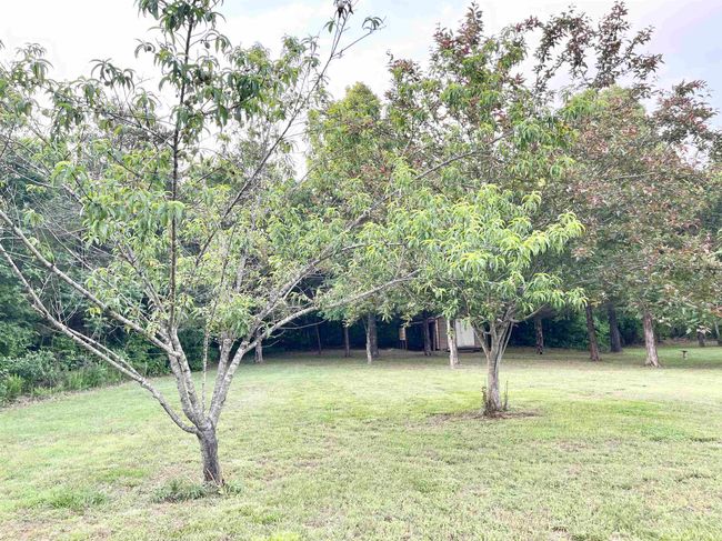 80 Doe Run Cir, House other with 2 bedrooms, 2 bathrooms and null parking in Salem AR | Image 36