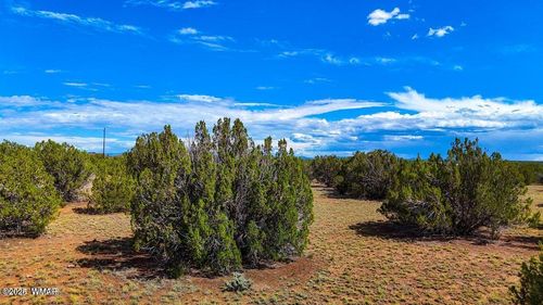 8730 Coronado Dr, Show Low, AZ, 85901-8705 | Card Image