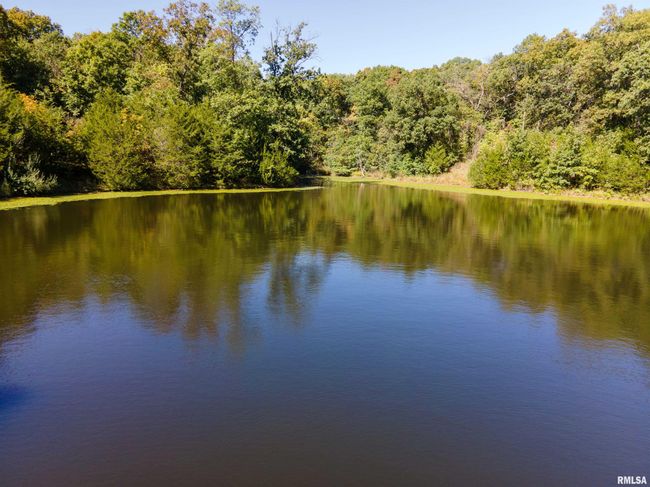 27232 215 Th St, Home with 5 bedrooms, 4 bathrooms and null parking in Canton MO | Image 31