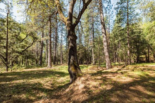14737 Big Hill Rd, Sonora, CA, 95370-9569 | Card Image