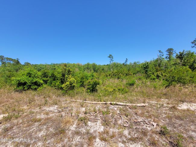2155 State Road 40, Home with 0 bedrooms, 0 bathrooms and null parking in De Leon Springs FL | Image 50