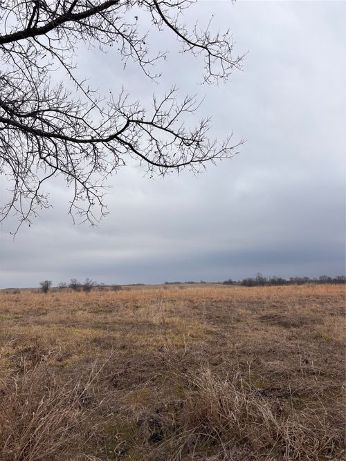 TBD County Road, Pecan Gap, TX, 75469 | Card Image