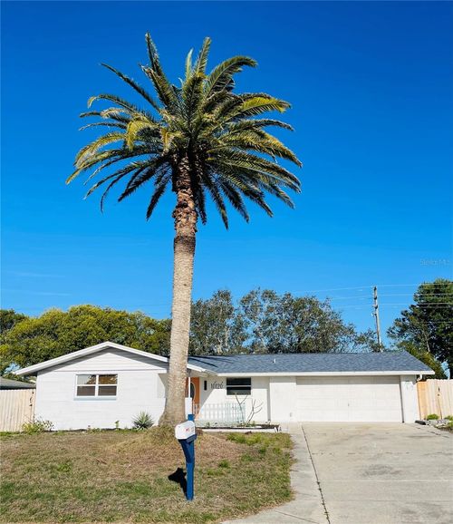 10120 Willow Dr, PORT RICHEY, FL, 34668-3346 | Card Image