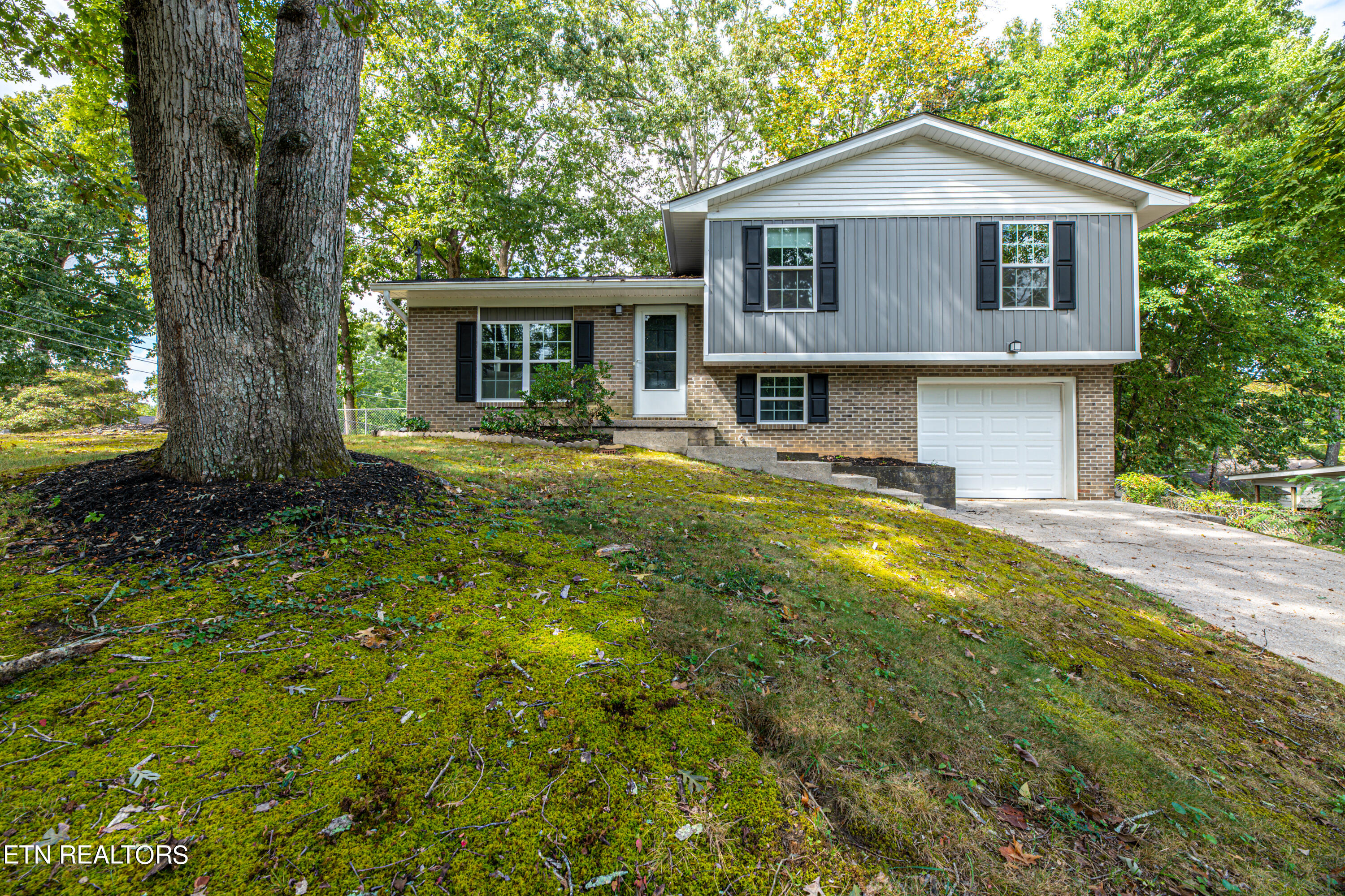 Foxwood Rd, Knoxville, TN 37921