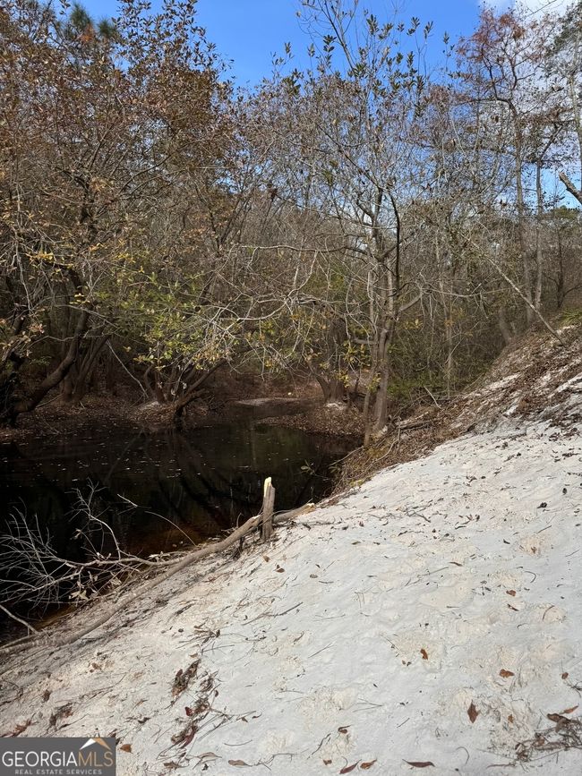 0 Highway 185, Home with 0 bedrooms, 0 bathrooms and null parking in Saint George GA | Image 54