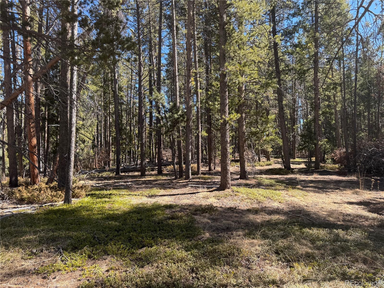 Land in Conifer 2