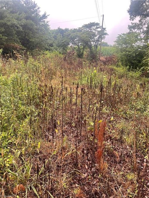TBD Windy Ridge Rd, North Wilkesboro, NC, 28659 | Card Image