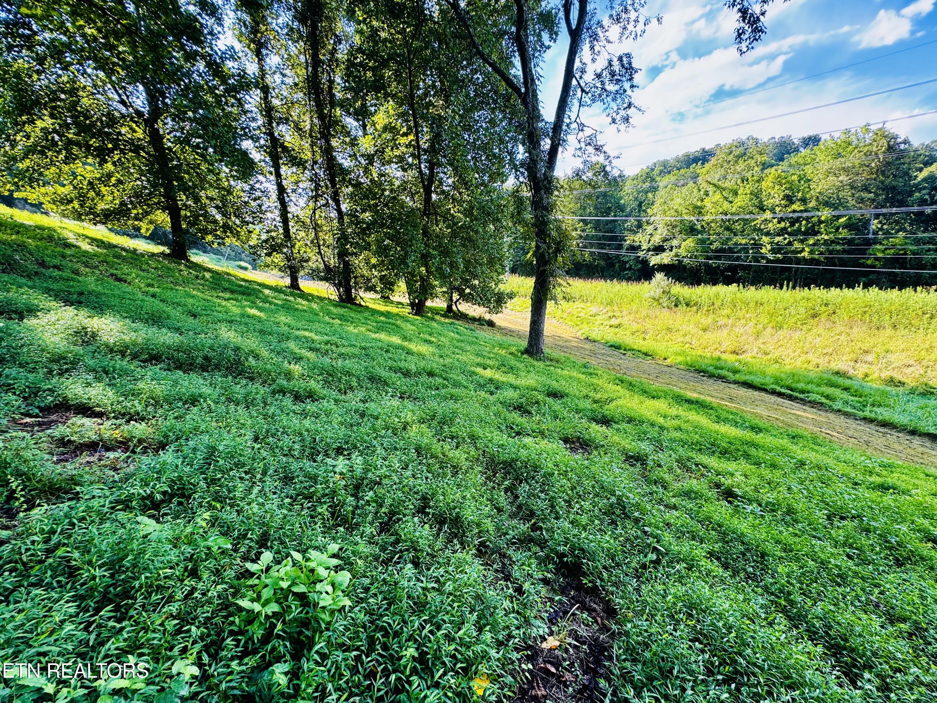 Land in Kodak 4