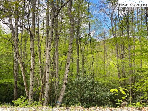 117 Deergrass Road, Beech Mountain, NC, 28604 | Card Image