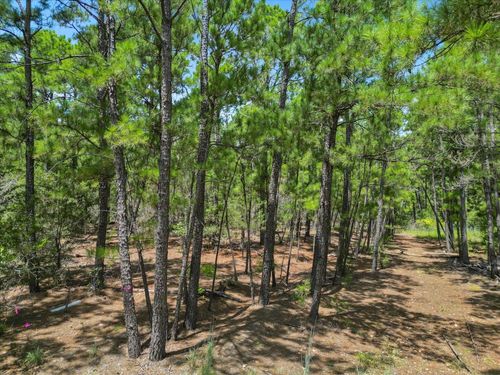 Lot 56 Akala Ln, Bastrop, TX, 78602 | Card Image