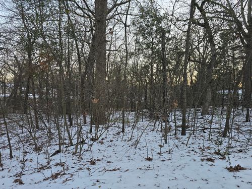 Lot 753 Doe Run Rd, Mabank, TX, 75156 | Card Image