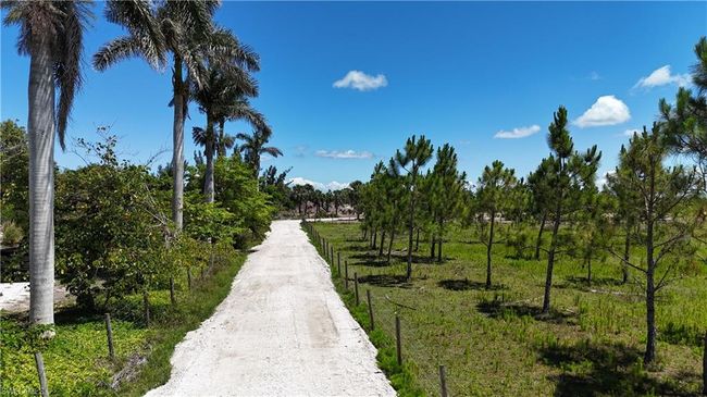 View of street | Image 4