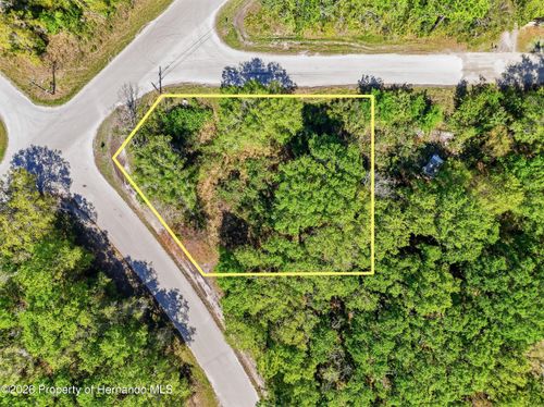 100 Fern Street, NEW PORT RICHEY, FL, 34654 | Card Image