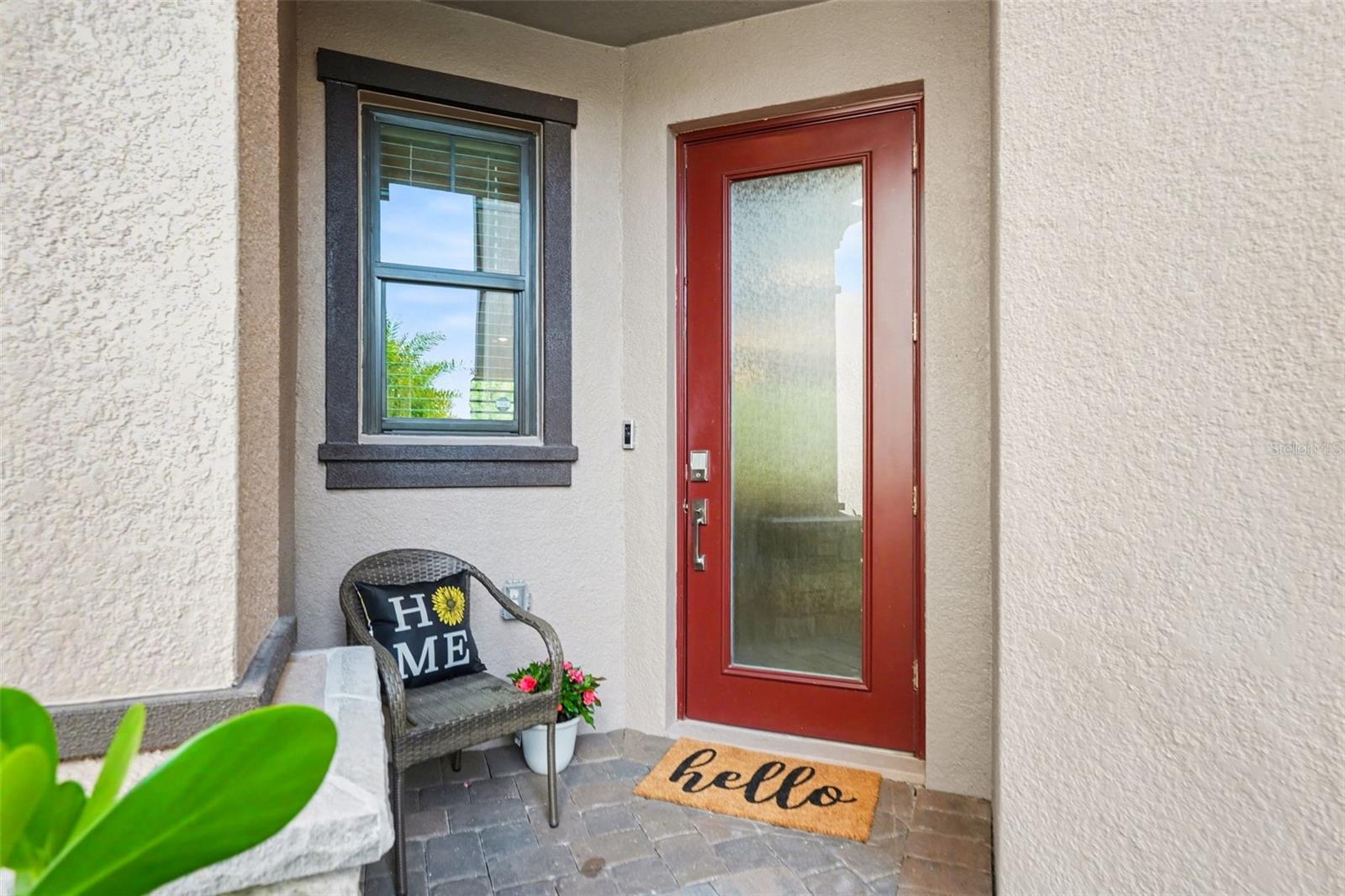 Residential in WESLEY CHAPEL 5