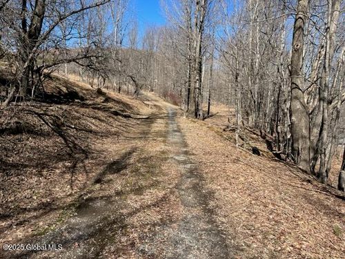 1 Off Rossman Fly Road, Summit, NY, 12175 | Card Image