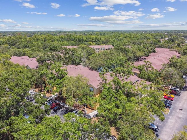 APT-304 - 5606 Pinnacle Heights Cir, Condo with 2 bedrooms, 2 bathrooms and null parking in TAMPA FL | Image 68