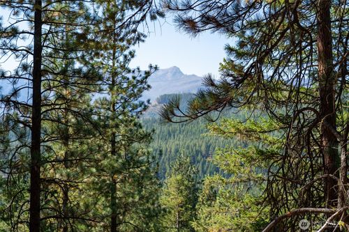 25607 Camp 12 Rd, Leavenworth, WA, 98826-8903 | Card Image