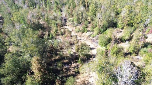 TBD Fm 1280 E, Lovelady, TX, 75851 | Card Image