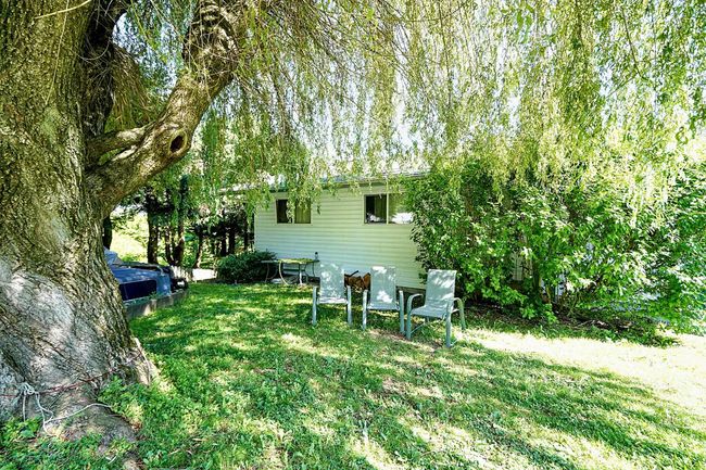 View of grassy yard | Image 17