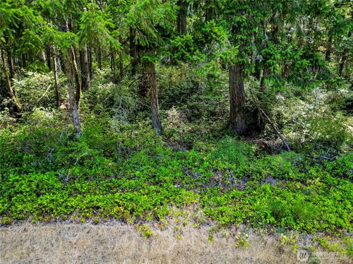 10205 Eckenstam Johnson Rd, Anderson Island, WA, 98303 | Card Image