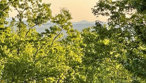 lot-3-0 Highlands Dr, Clarkesville, GA, 30523 | Card Image
