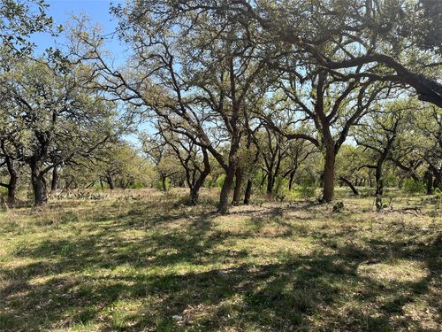 Lot 43 N Waterbuck Way, Lampasas, TX, 76550 | Card Image
