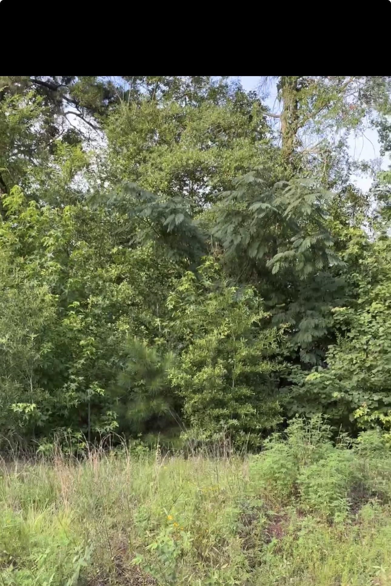 Land in Marshall 2