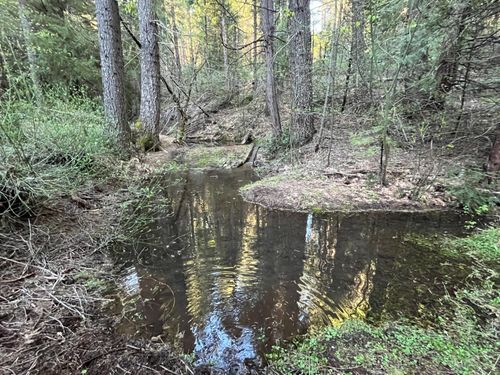 18035 Mobley Springs Rd, Nevada City, CA, 95959 | Card Image
