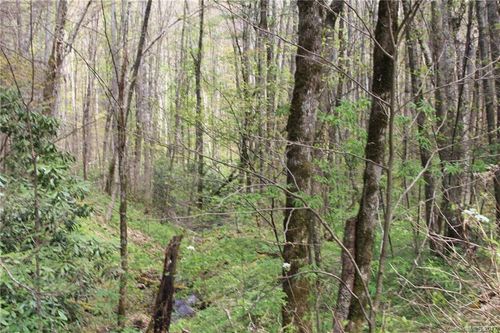 61-0000 Big Spring Trl, Cherokee, NC, 28719 | Card Image