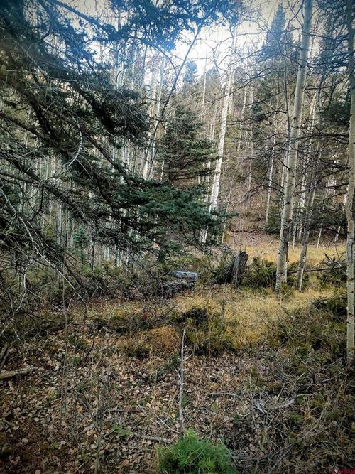 6364 Jaquez Rd, San Luis, CO, 81152 | Card Image