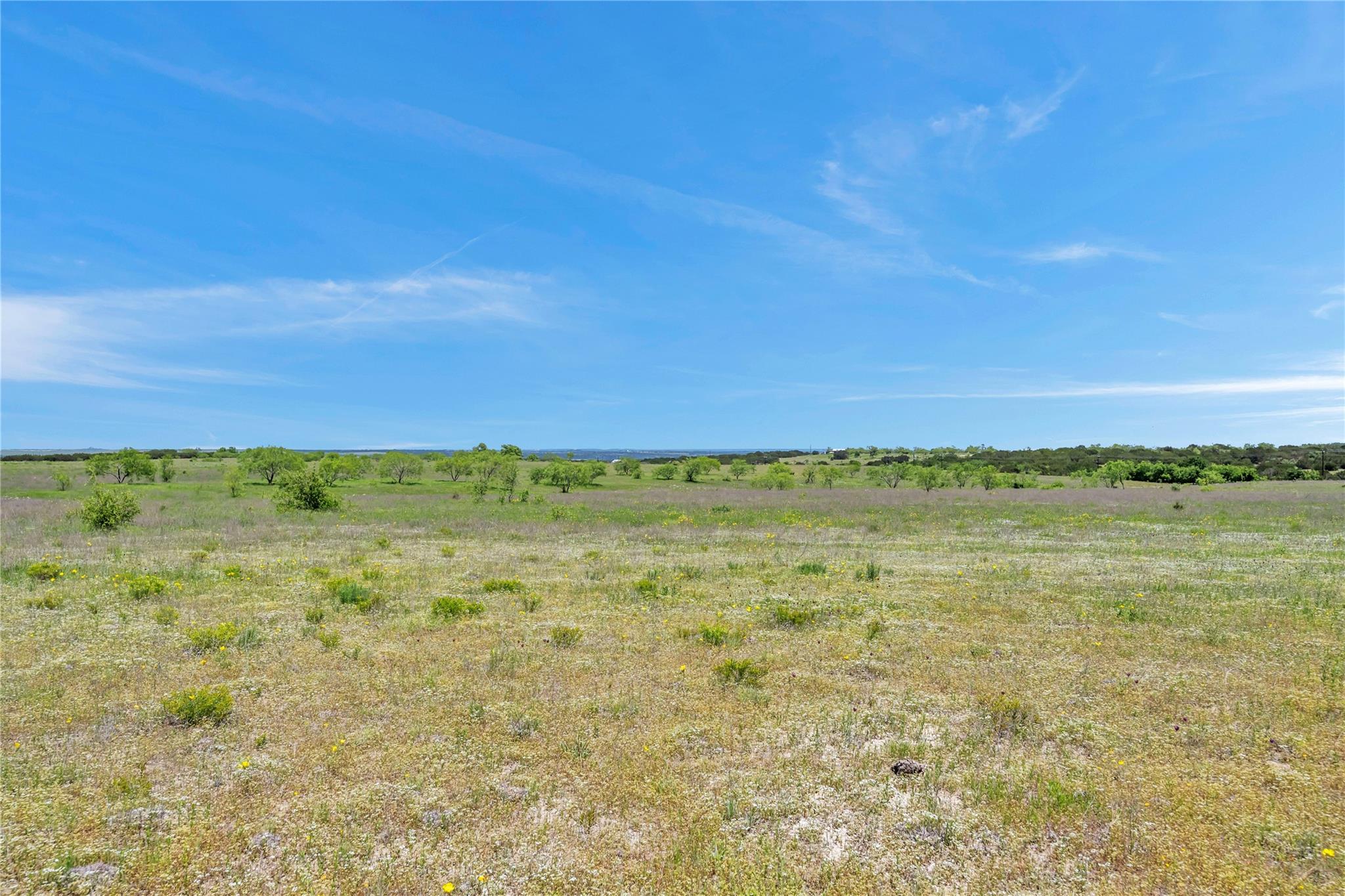 Farm in Burnet 2