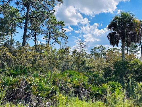 00 Sw 52nd Pl, CEDAR KEY, FL, 32625 | Card Image