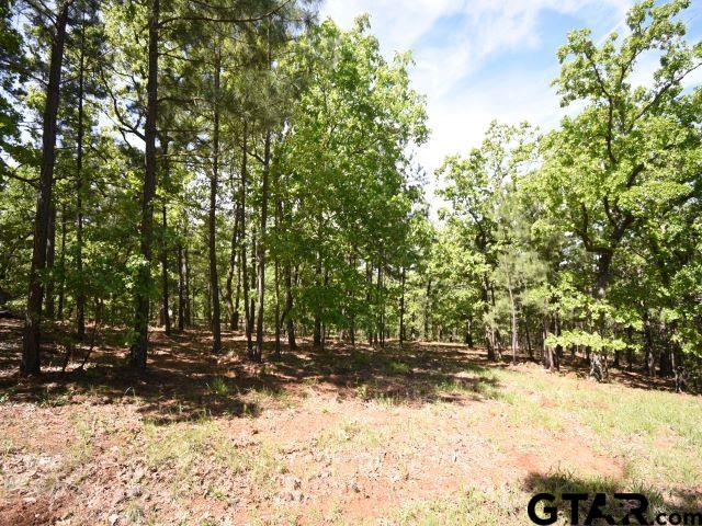 Land in Montalba