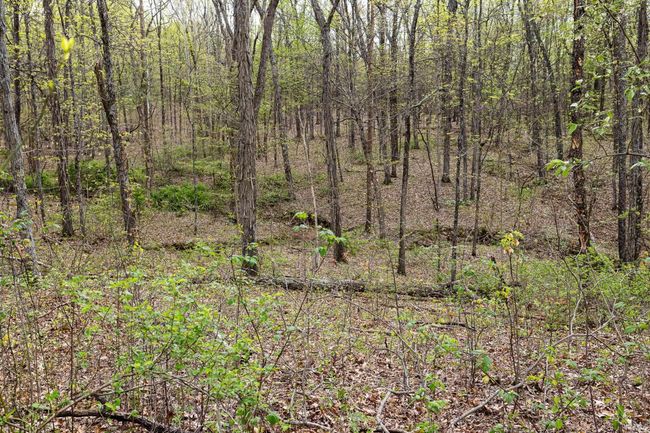 12.6 Acres Deer Lake Drive, Home with 0 bedrooms, 0 bathrooms and null parking in Bloomfield IN | Image 7