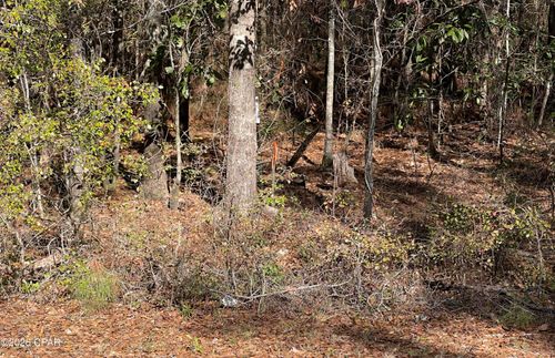 0 Jacob Main St, Cottondale, FL, 32431 | Card Image