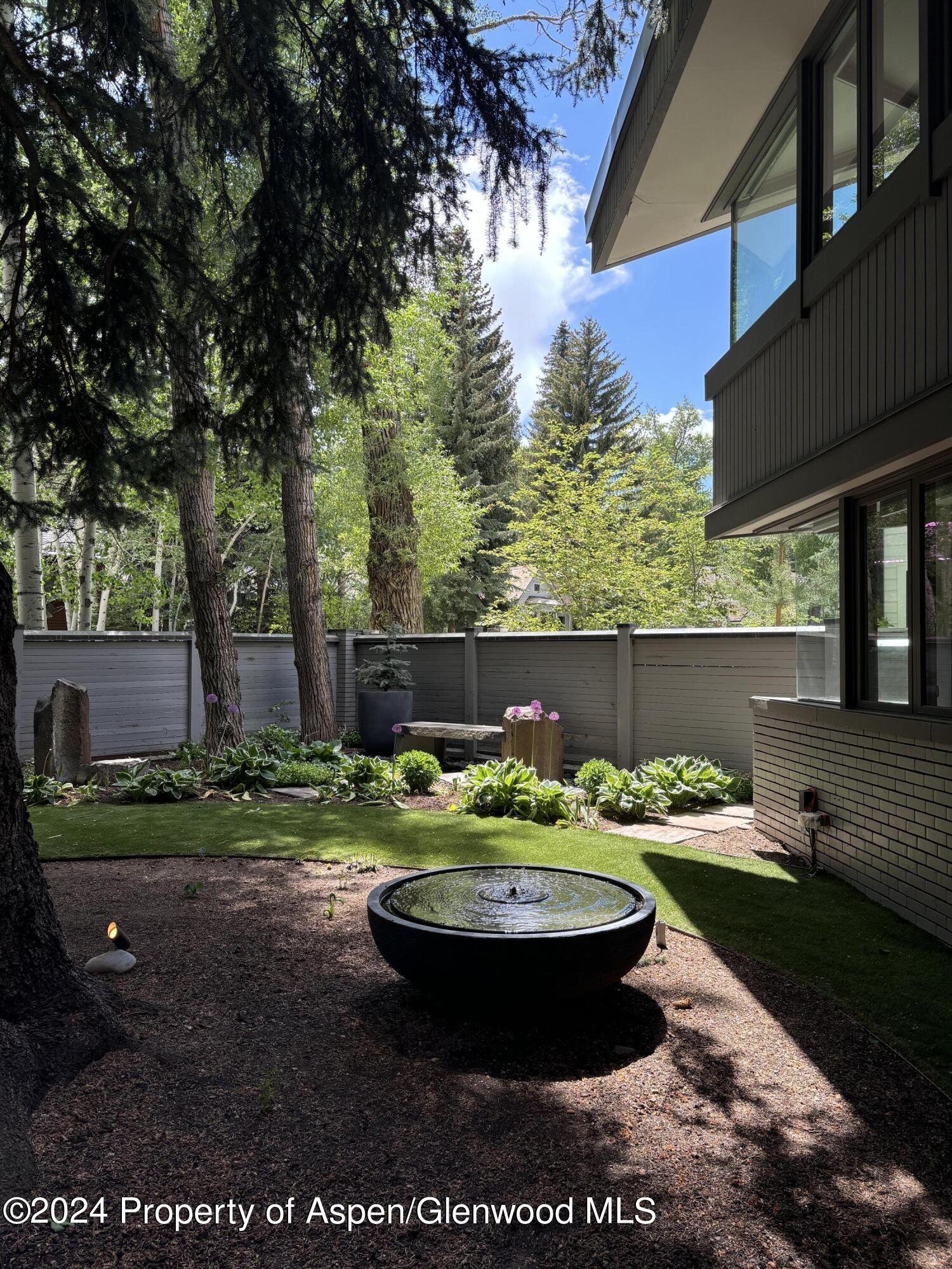 Hallam St, Aspen, CO 81611