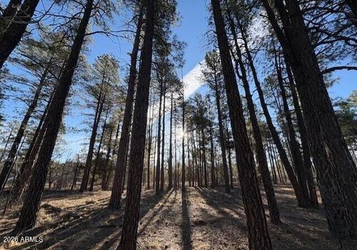 2360 Narrow Leaf Ln, Show Low, AZ, 85901-0265 | Card Image