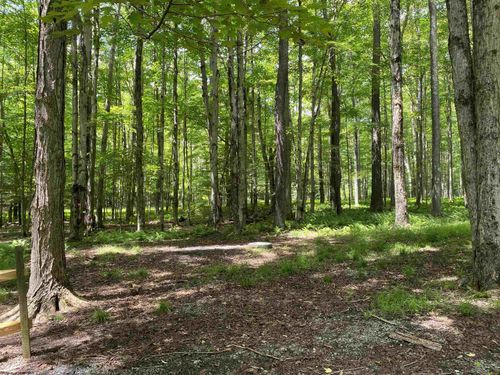 lot 42 Bobcat Rd, Davis, WV, 26260 | Card Image