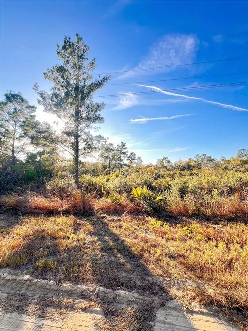 110 Dartmoor Ave, LAKE PLACID, FL, 33852-4725 | Card Image