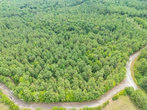 3605 Burnett Mills Rd, Bolivar, TN, 38008 | Card Image