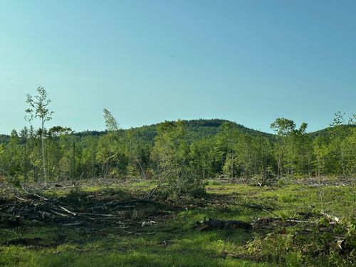 00 Thurley Rd, Center Ossipee, NH, 03814 | Card Image