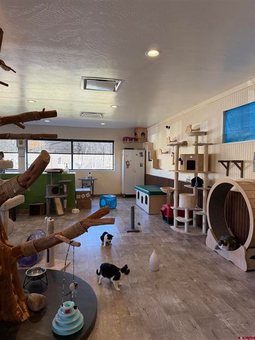 1-72 Suttle St, Durango, CO, 81303-6829 | Card Image