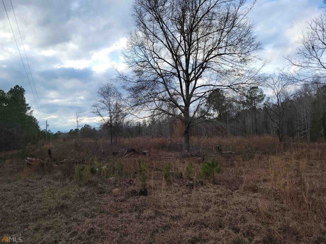 2757 Us Highway 1 N, Home with 0 bedrooms, 0 bathrooms and null parking in swainsboro GA | Image 7