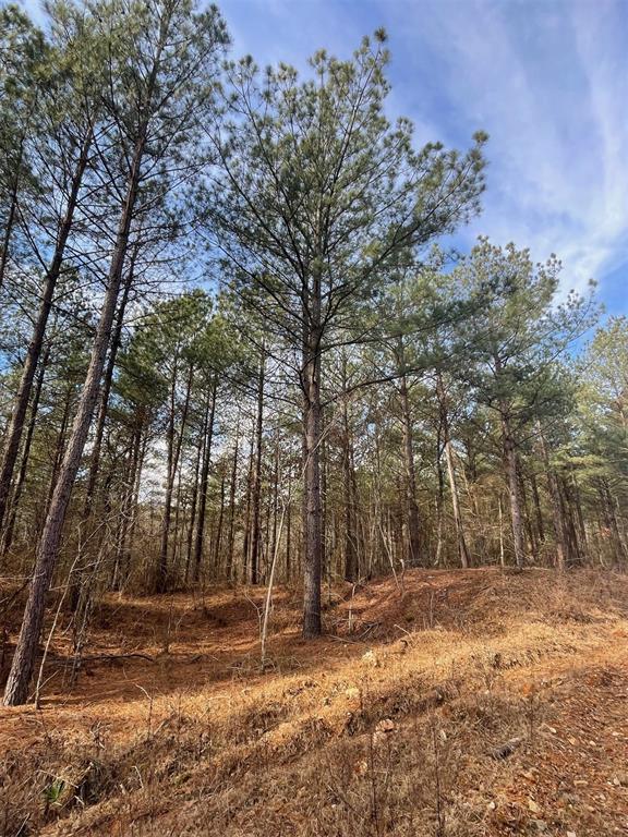 Land in Broken Bow 3