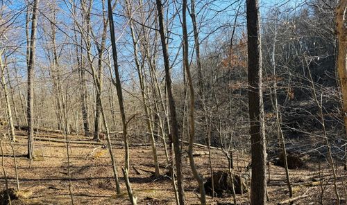 0 Wolverine Ln, Sugar Grove, OH, 43155 | Card Image