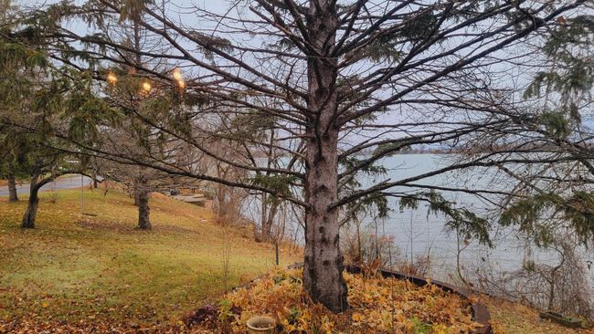 Lake view | Image 11