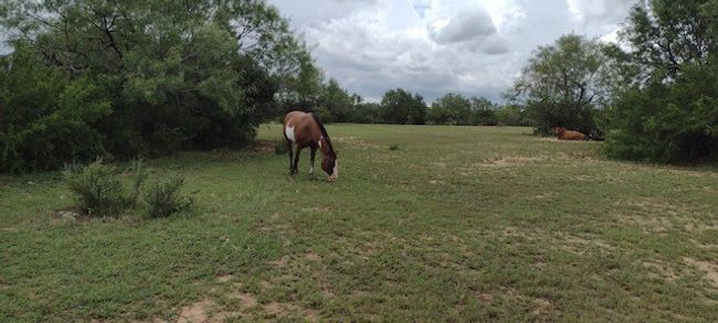6283 County Road 523, House other with 3 bedrooms, 2 bathrooms and null parking in Skidmore TX | Image 9